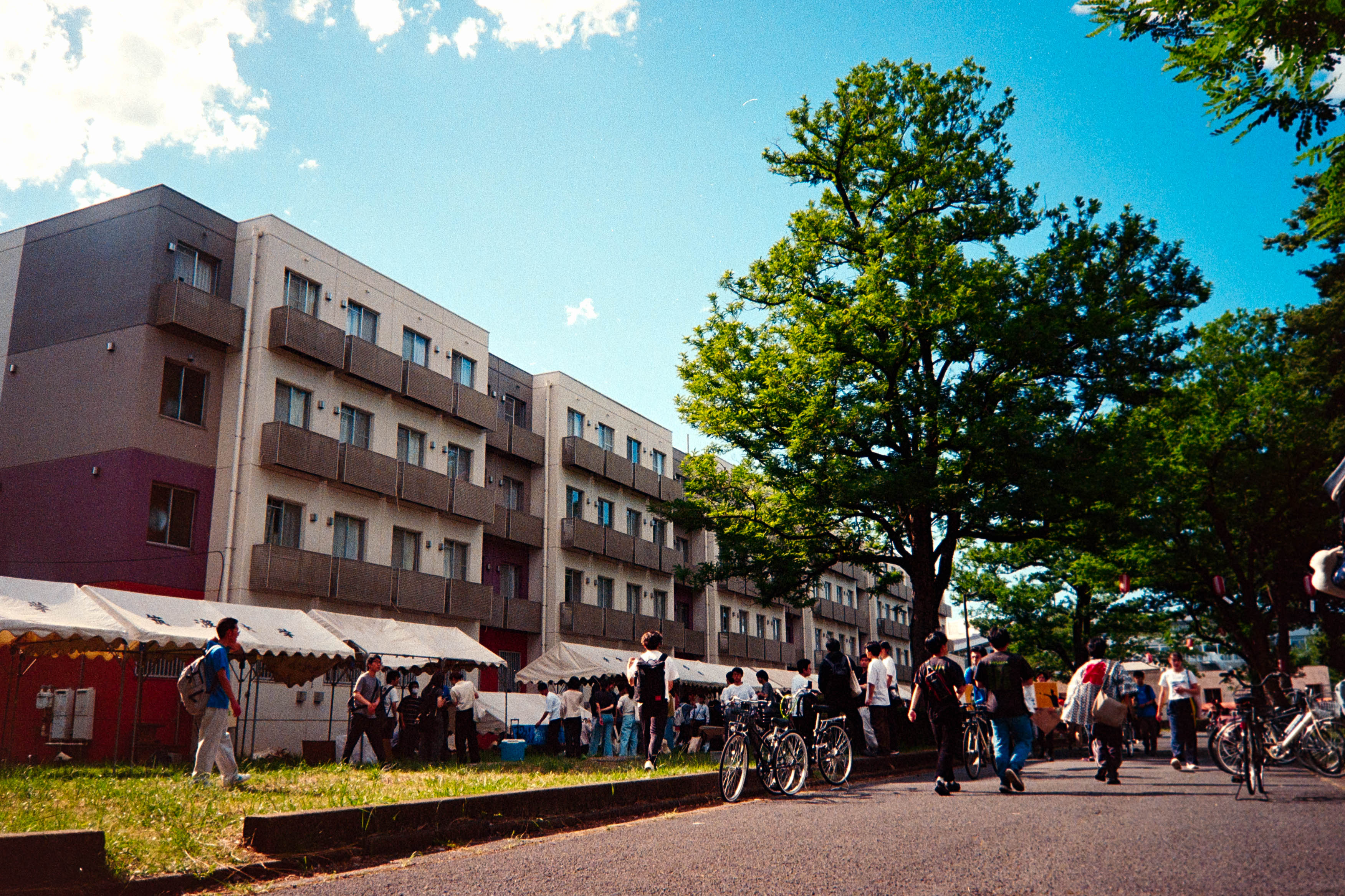 1950-8907.jpg