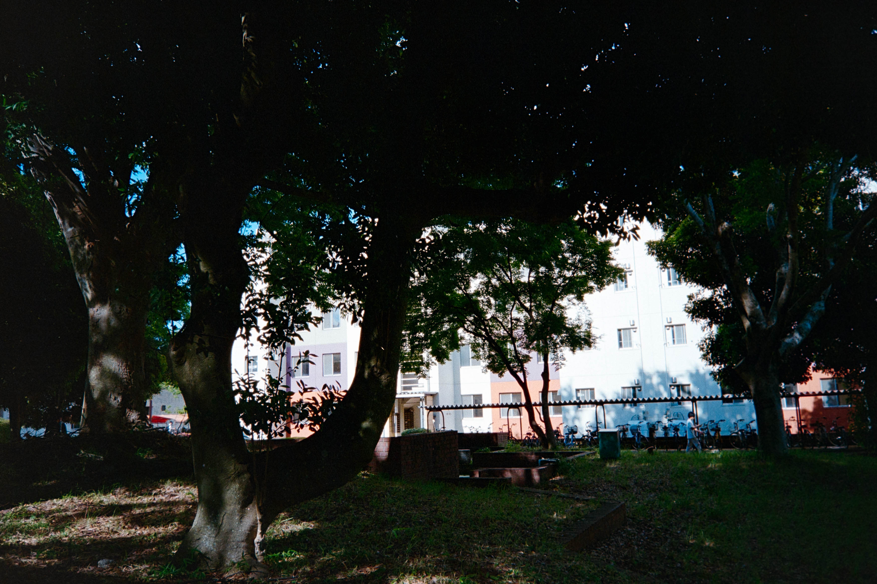 1950-8907-3.jpg