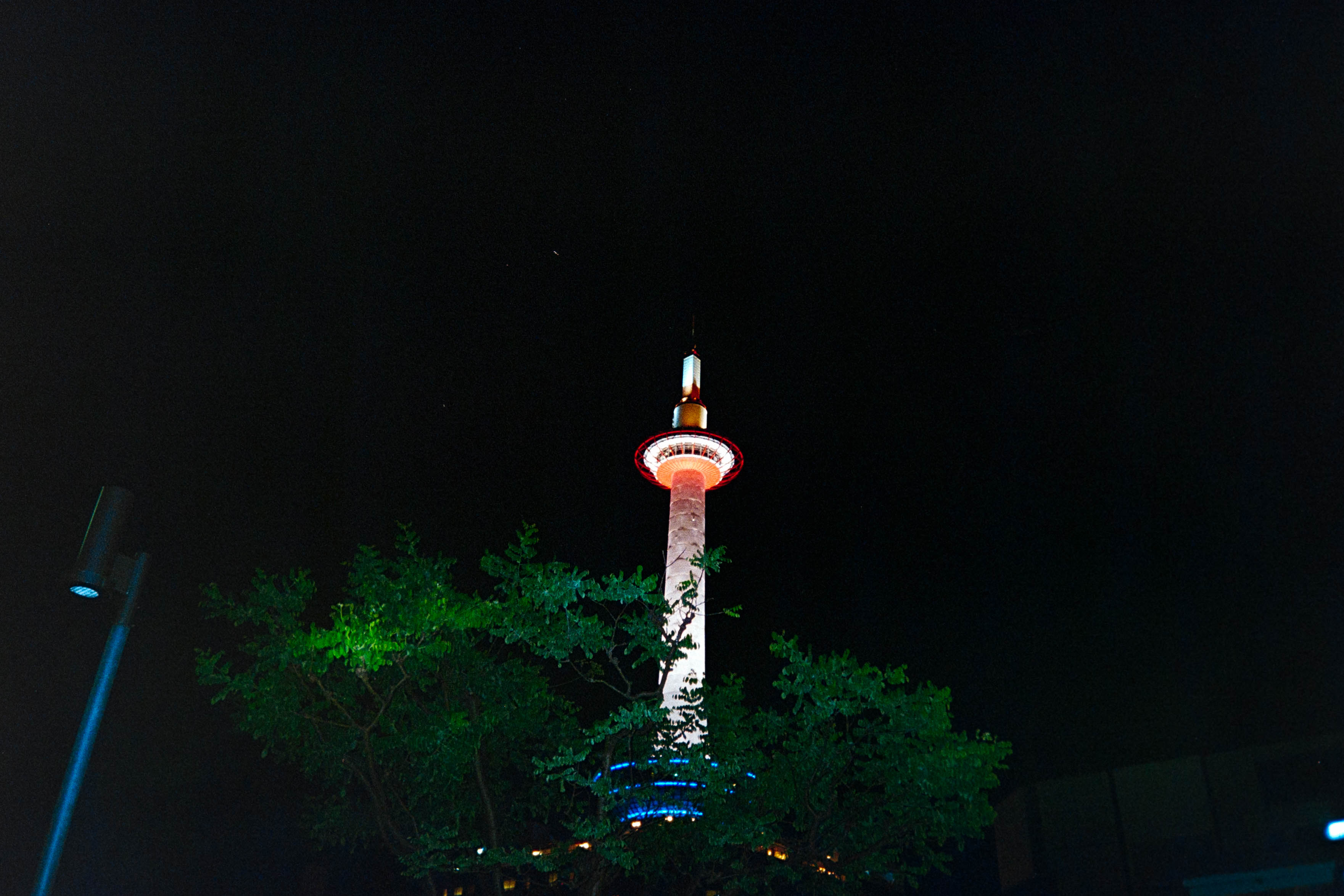 1951-8907-22.jpg